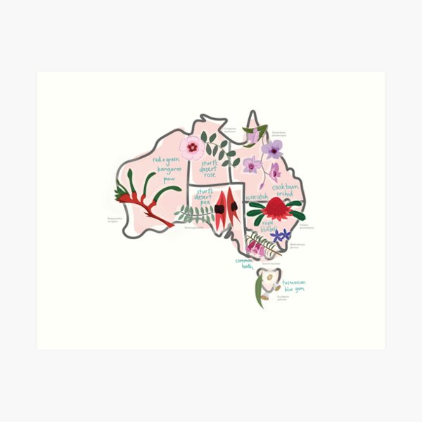 Item preview, Australia State Flowers Map designed and sold by Eleanor McNeill.