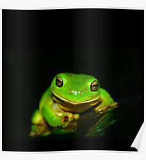 Kermit D. Frog Poster