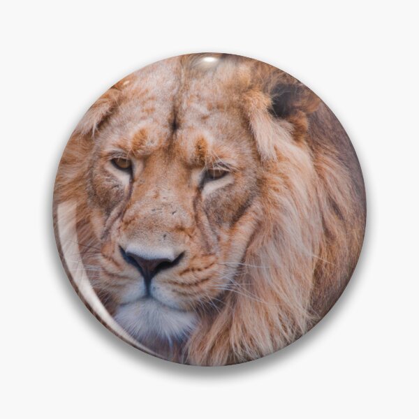Item preview, Iblis designed and sold by Sheila Laurens.