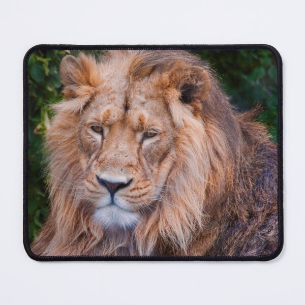 Item preview, Iblis designed and sold by Sheila Laurens.