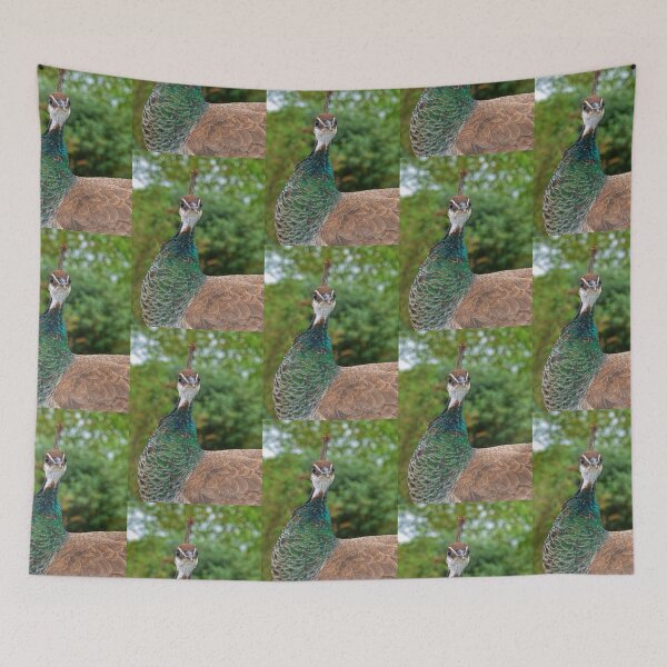 Item preview, The Look.............Devon. UK designed and sold by lynn carter.