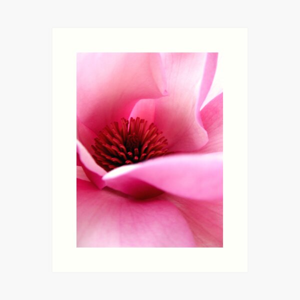 Item preview, PASSION designed and sold by Globalphotos.