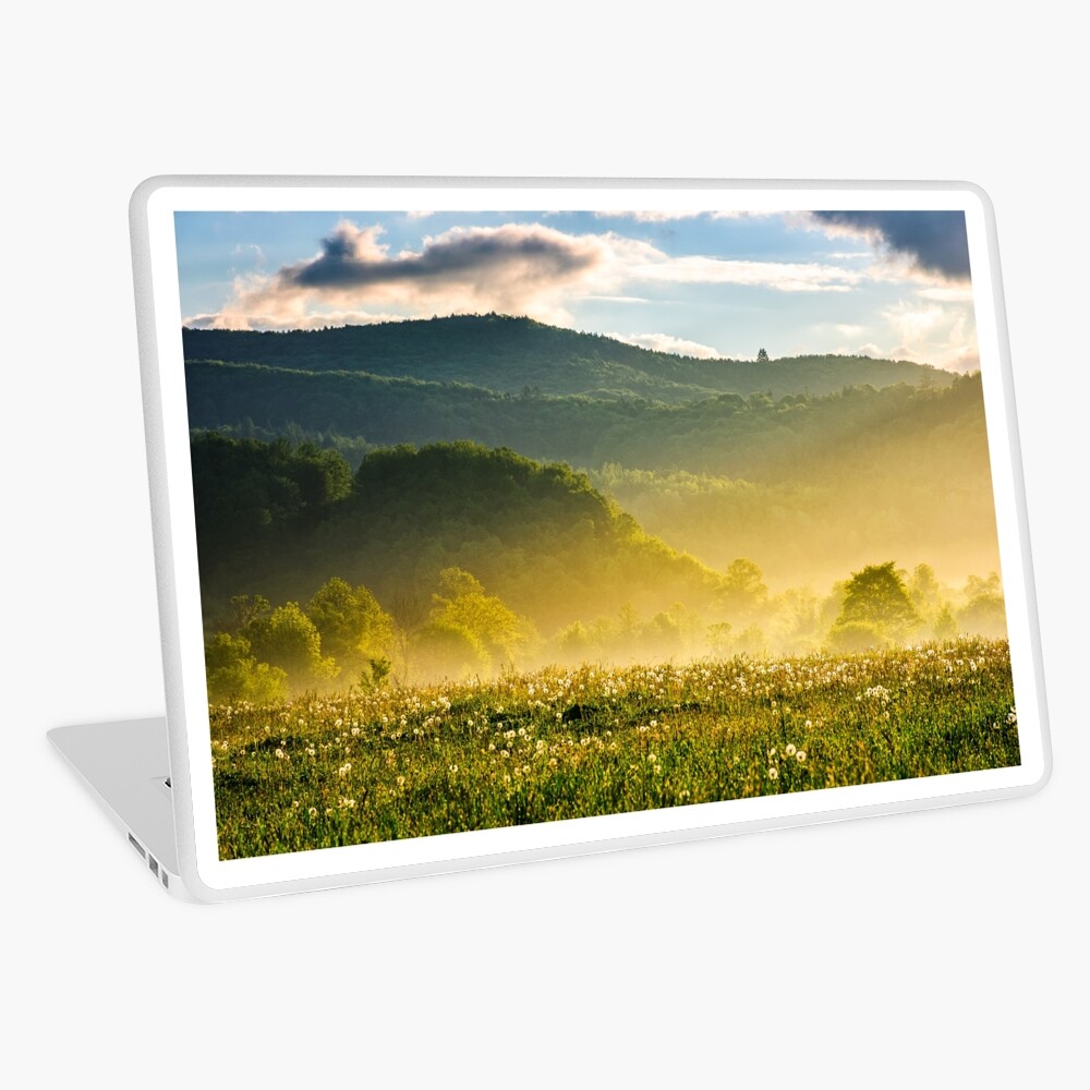 Item preview, Laptop Skin designed and sold by mike-pellinni.