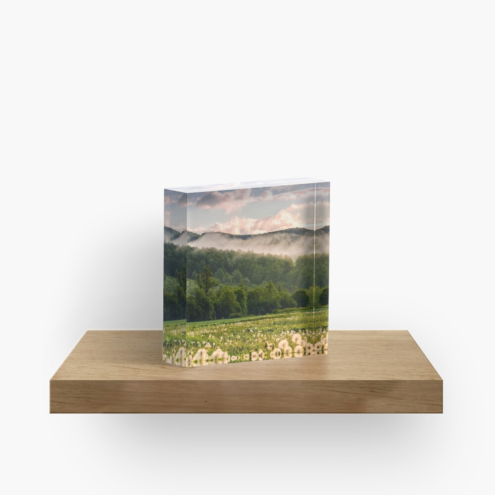 Item preview, Acrylic Block designed and sold by mike-pellinni.