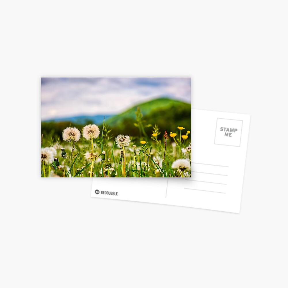 Item preview, Postcard designed and sold by mike-pellinni.