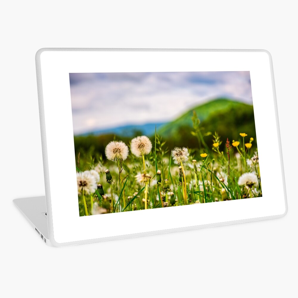 Item preview, Laptop Skin designed and sold by mike-pellinni.