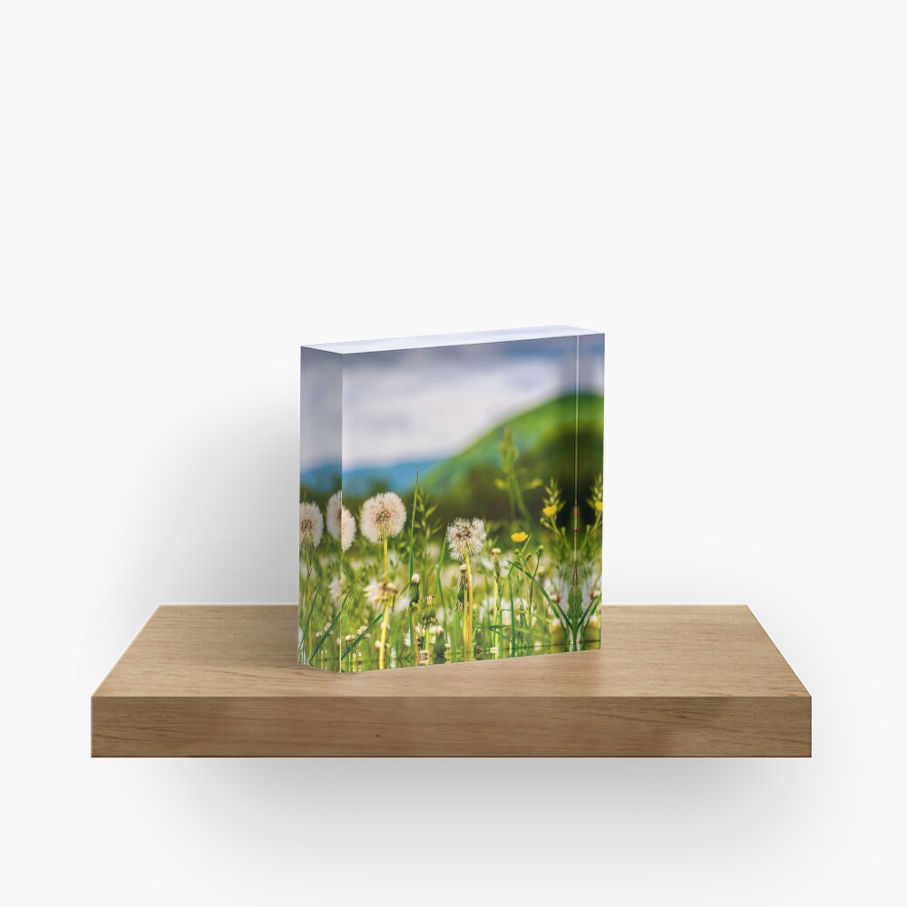 Item preview, Acrylic Block designed and sold by mike-pellinni.