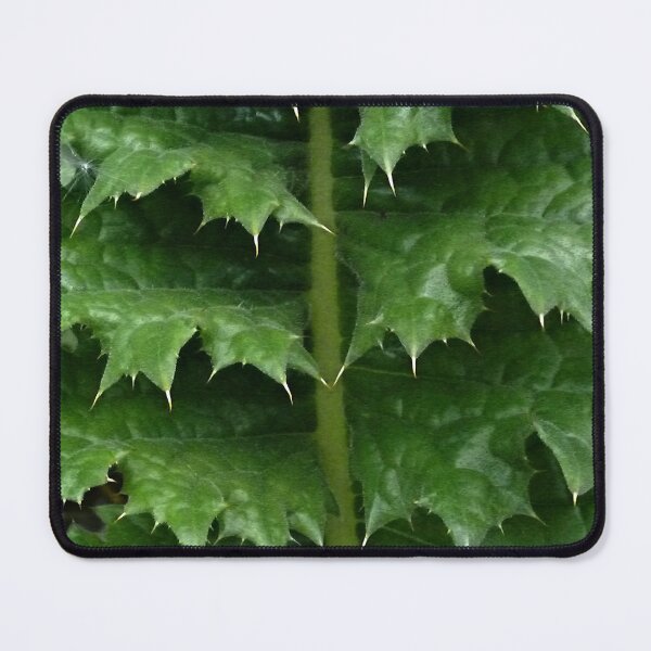 Item preview, Spikey designed and sold by Yampimon.