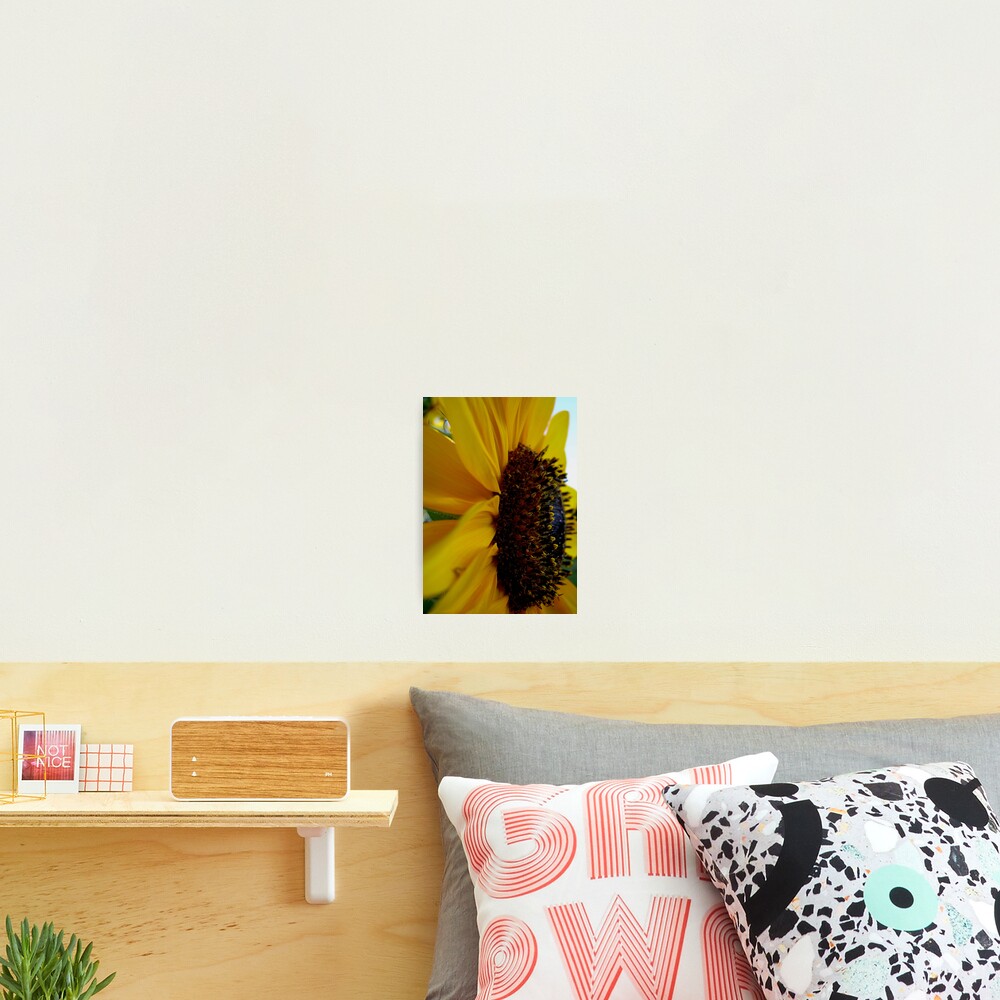 Item preview, Photographic Print designed and sold by AnnaRose.