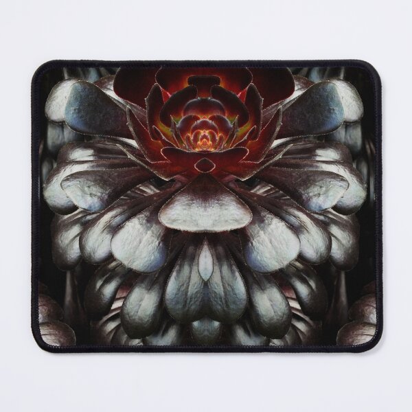 Item preview, Aeonium designed and sold by Yampimon.