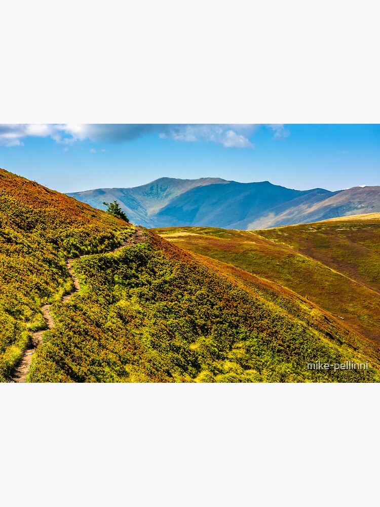 path through the mountain ridge in summer by mike-pellinni