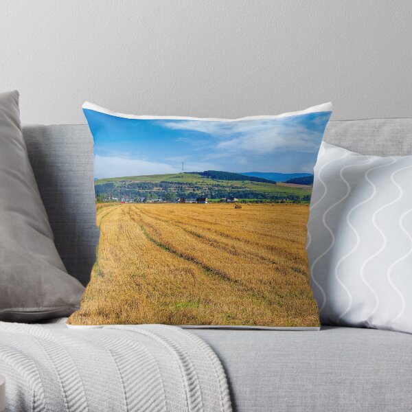 agricultural field in mountains Throw Pillow