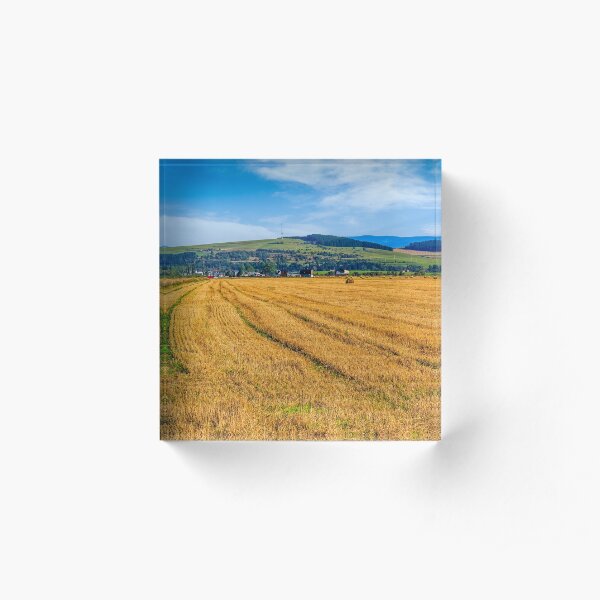 agricultural field in mountains Acrylic Block