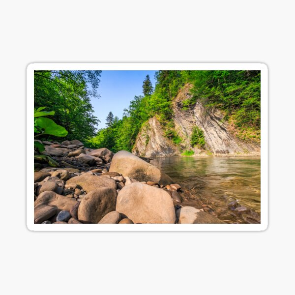 trees near the river in mountains Sticker