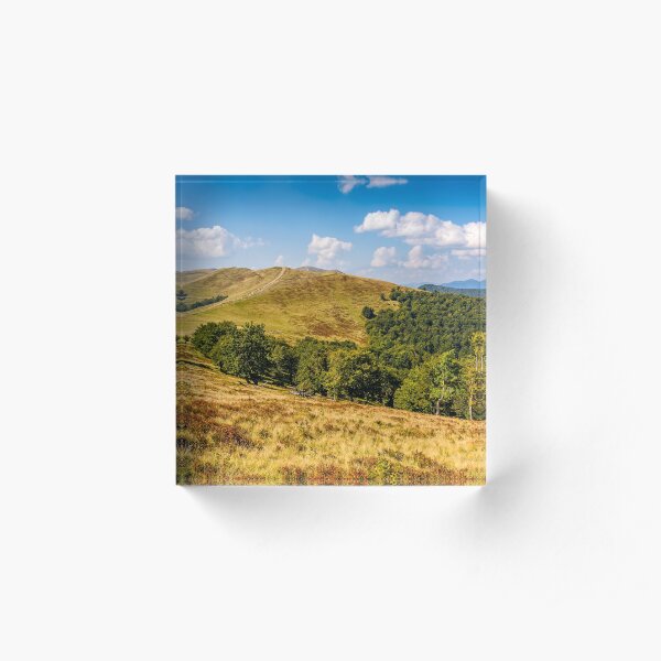 Carpathian Mountain Range in late summer Acrylic Block