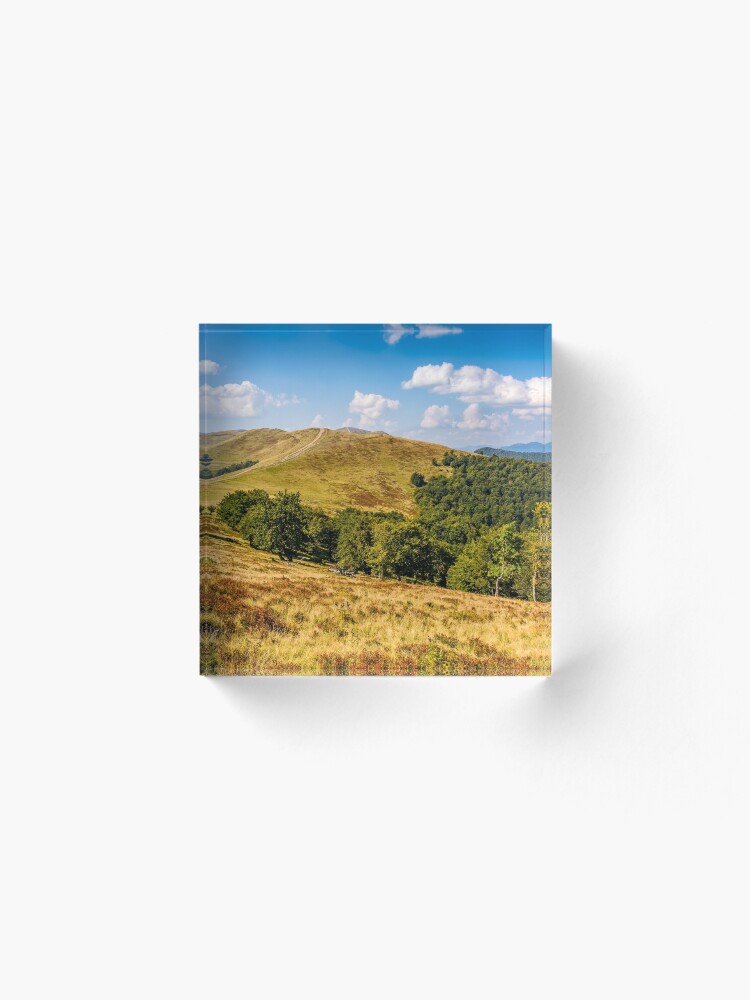 Alternate view of Carpathian Mountain Range in late summer Acrylic Block