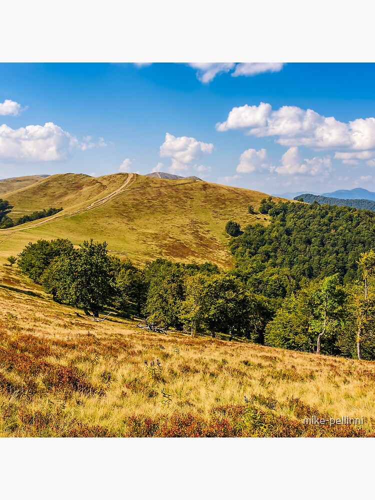 Carpathian Mountain Range in late summer by mike-pellinni