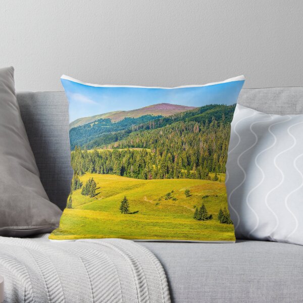 spruce forest in springtime landscape Throw Pillow