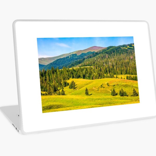 spruce forest in springtime landscape Laptop Skin