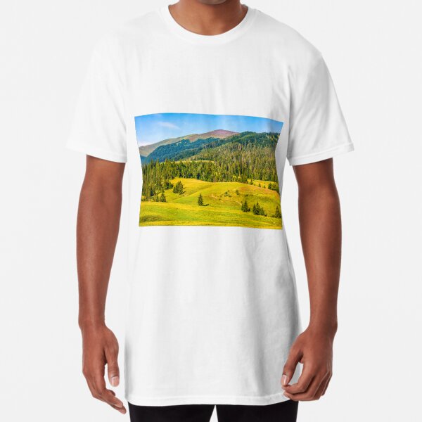 spruce forest in springtime landscape Long T-Shirt