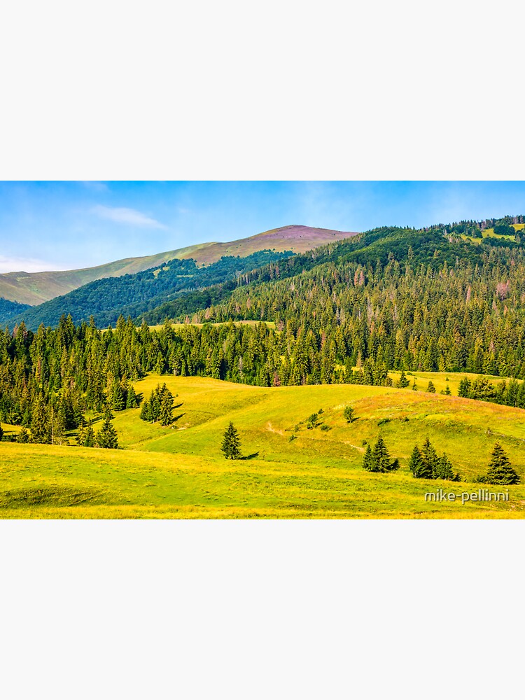 spruce forest in springtime landscape by mike-pellinni