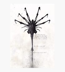 Alien - Facehugger Photographic Print