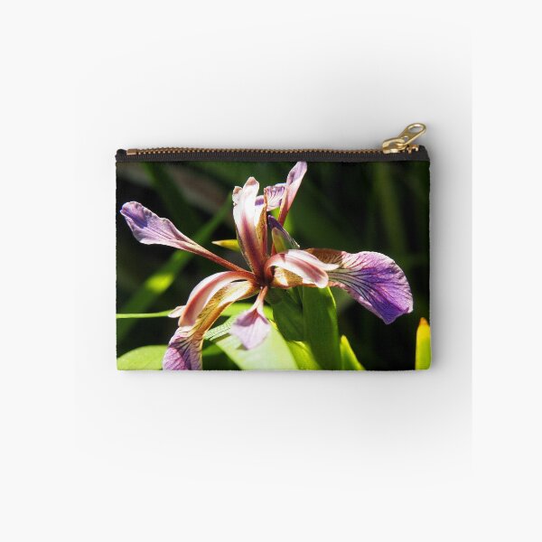 Item preview, Iris foetidissima .....Lyme, Dorset UK designed and sold by lynn carter.