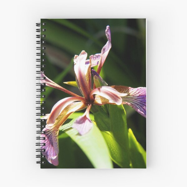 Item preview, Iris foetidissima .....Lyme, Dorset UK designed and sold by lynn carter.