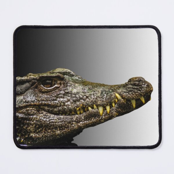 Item preview, Alligator Mouse Pad. designed and sold by MICKSPIKS.