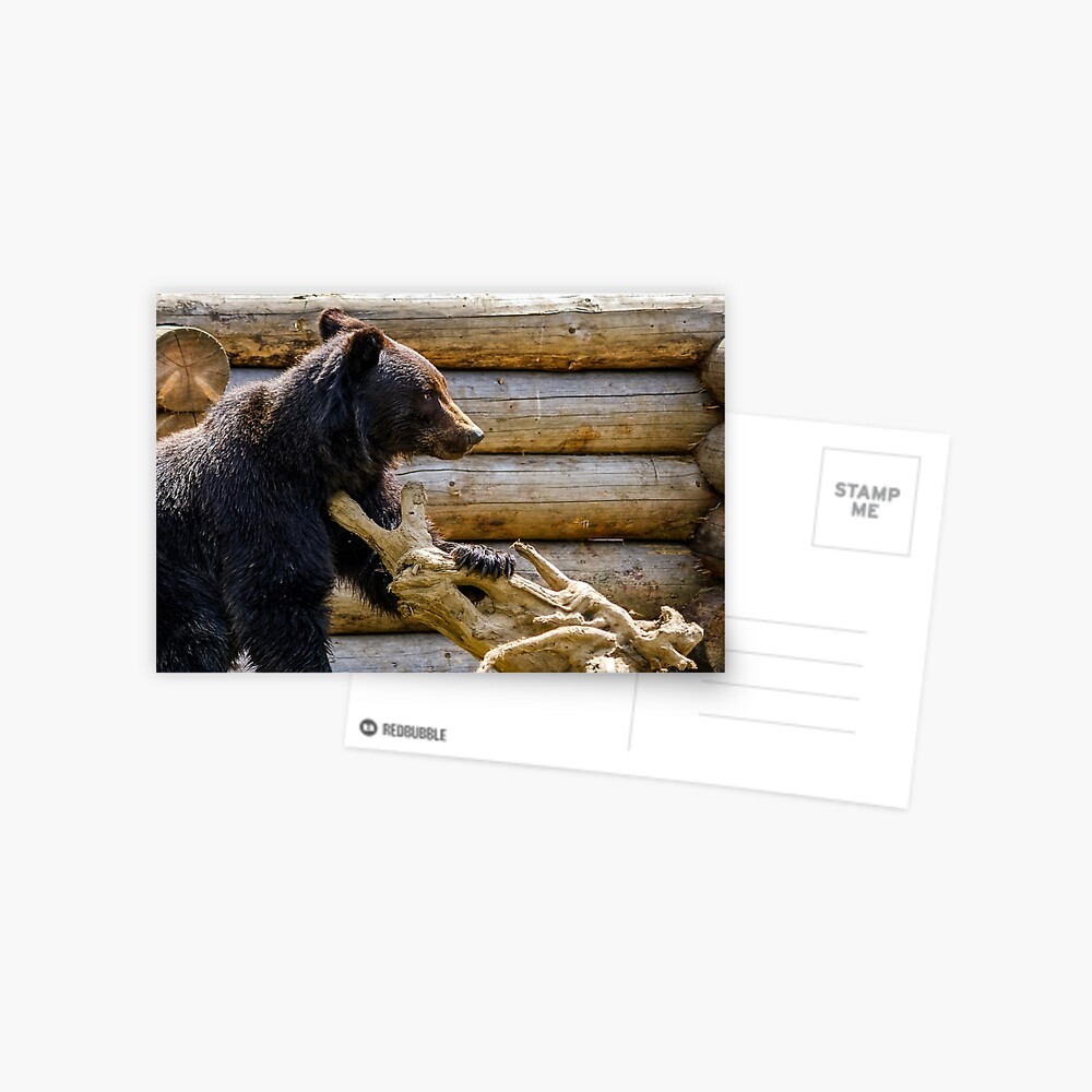 Item preview, Postcard designed and sold by mike-pellinni.