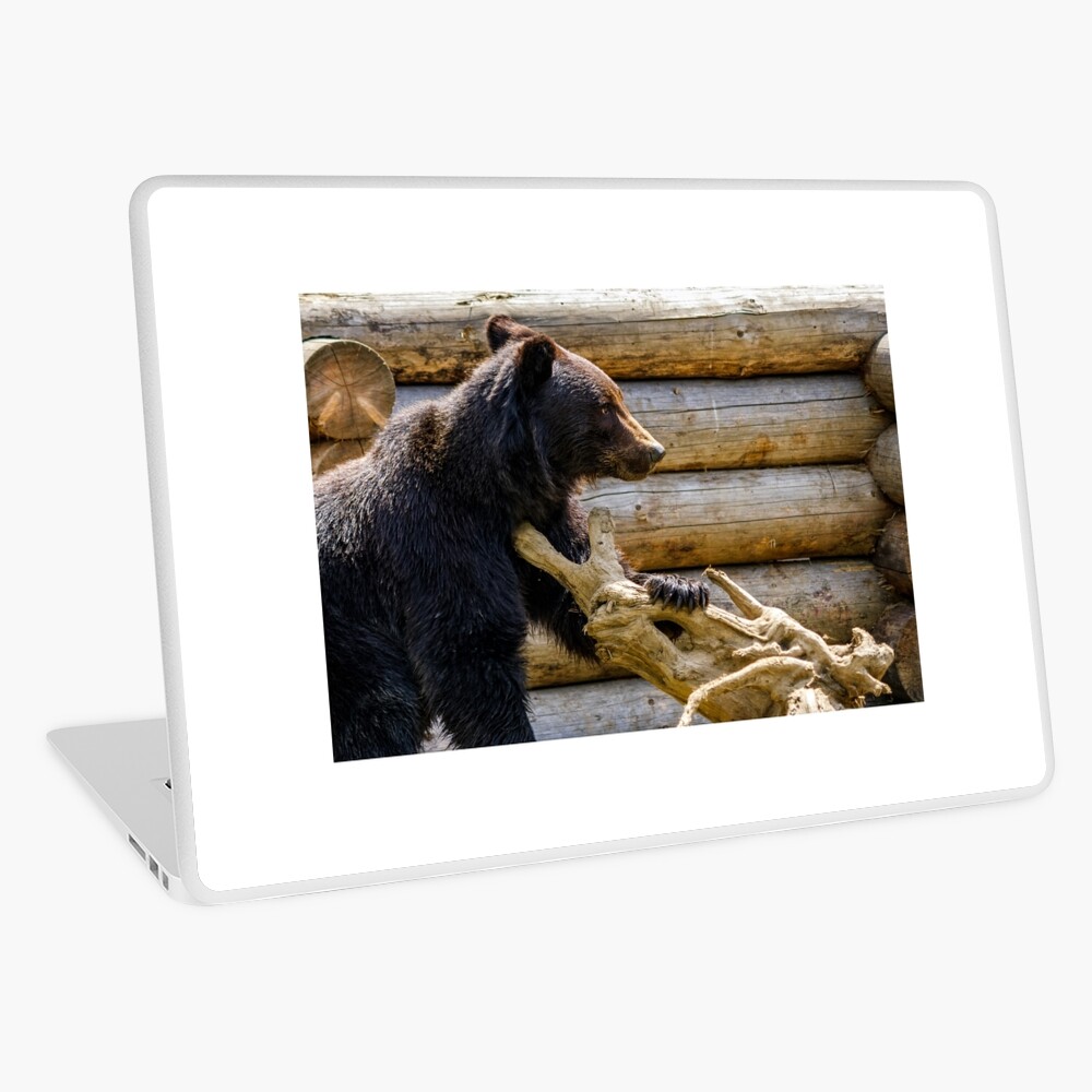 Item preview, Laptop Skin designed and sold by mike-pellinni.