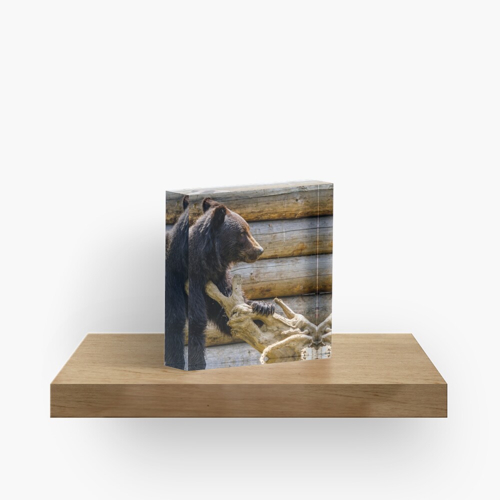 Item preview, Acrylic Block designed and sold by mike-pellinni.
