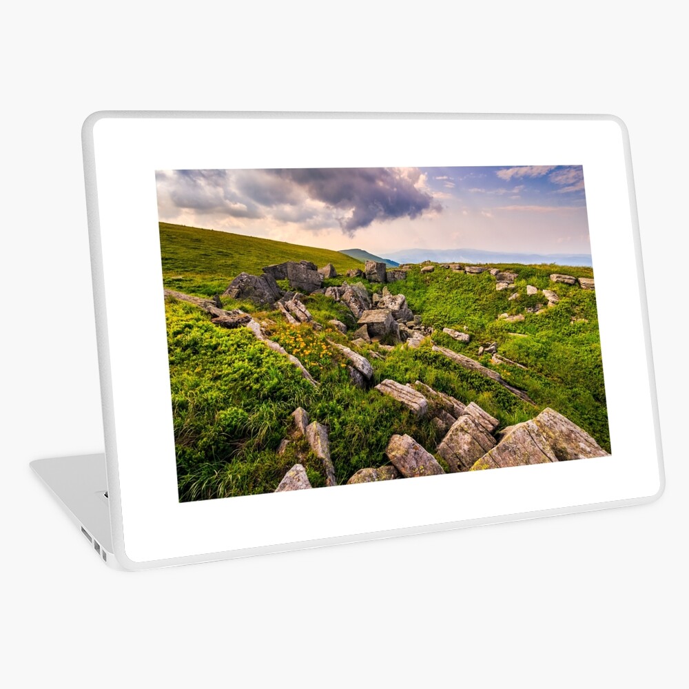 Item preview, Laptop Skin designed and sold by mike-pellinni.