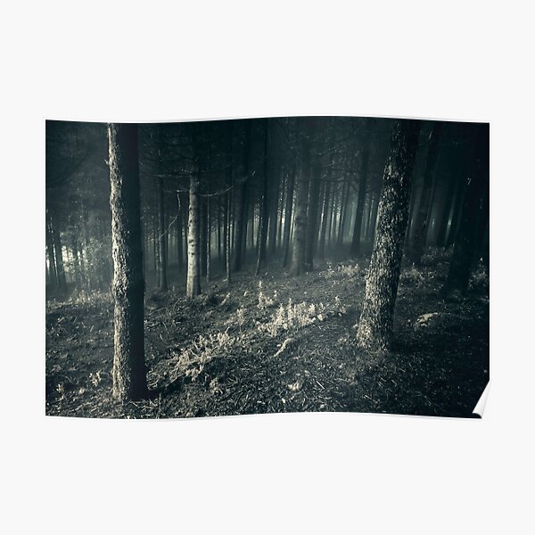 Dark Forest V Poster