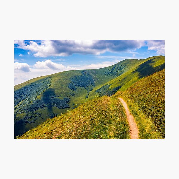 path through a meadow on hillside Photographic Print