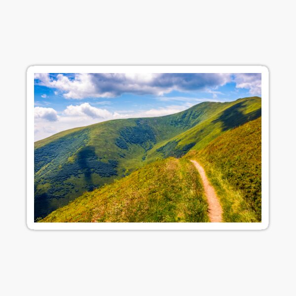 path through a meadow on hillside Sticker