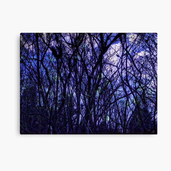 Dark Purple Forest - Purple Blue and Black Bare Tree Landscape Canvas Print