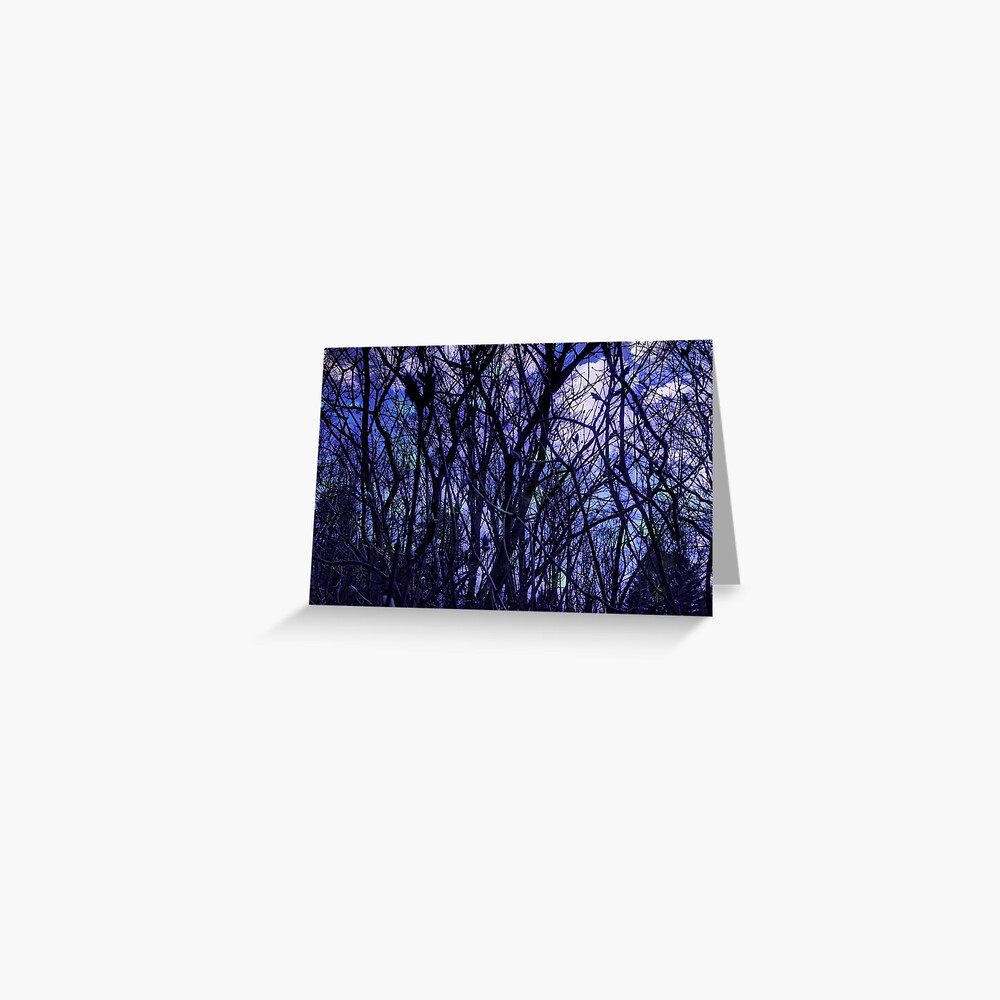 Dark Purple Forest - Purple Blue and Black Bare Tree Landscape Greeting Card