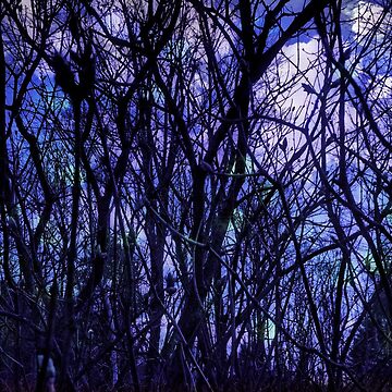Artwork thumbnail, Dark Purple Forest - Purple Blue and Black Bare Tree Landscape by OneDayArt