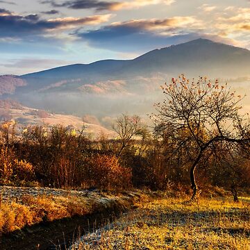Artwork thumbnail, orchard on a hillside at foggy sunrise in mountains by mike-pellinni