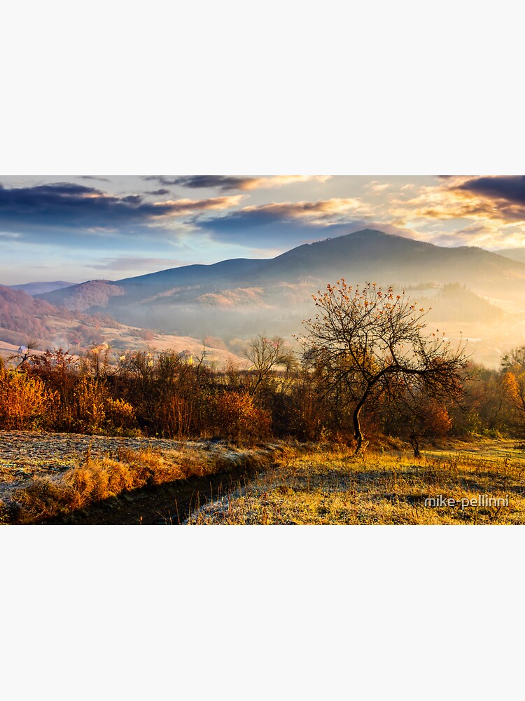Thumbnail 3 of 3, Sticker, orchard on a hillside at foggy sunrise in mountains designed and sold by mike-pellinni.