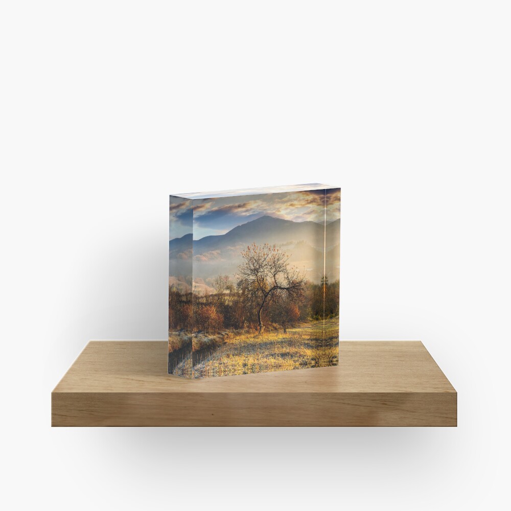 Item preview, Acrylic Block designed and sold by mike-pellinni.