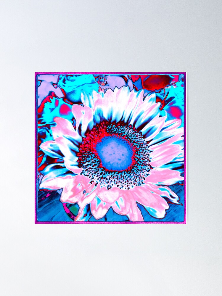Thumbnail 2 of 3, Poster, Iced Sunflower - Pink Purple White Blue Flower - Floral Design designed and sold by OneDayArt.