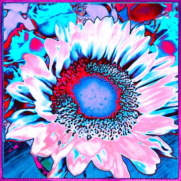 Artwork thumbnail, Iced Sunflower - Pink Purple White Blue Flower - Floral Design by OneDayArt