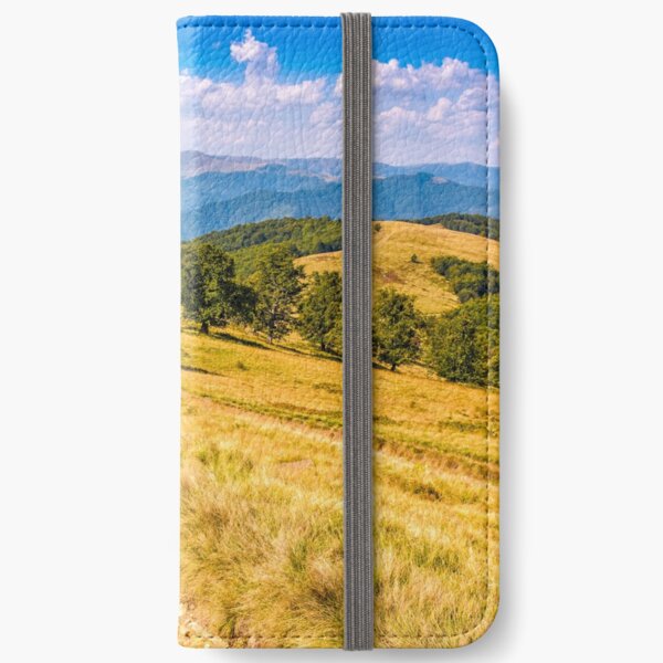 Countryside road in mountains at sunset iPhone Wallet