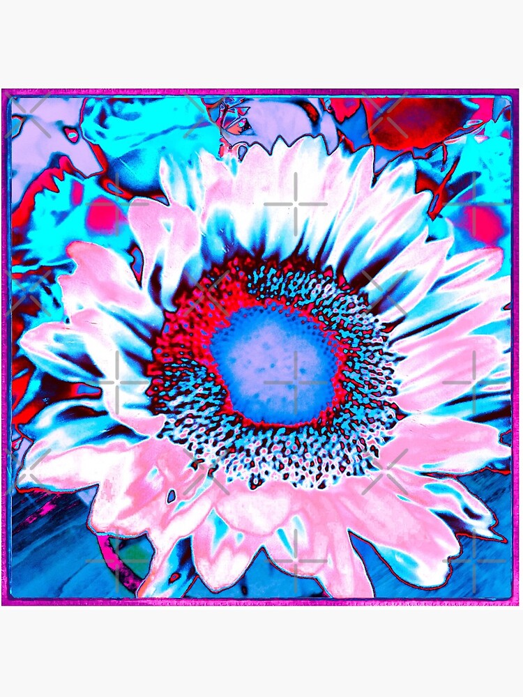 Iced Sunflower - Pink Purple White Blue Flower - Floral Design by OneDayArt