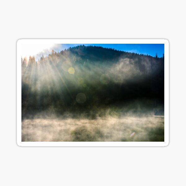 forest lake in fog at sunrise Sticker