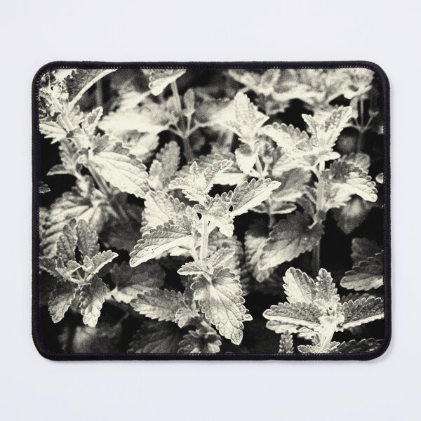 Item preview, Nepeta Grandiflora Leaves Monochrome designed and sold by Tanya C Smith.