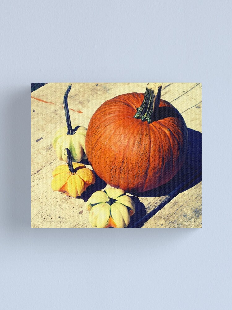 Alternate view of Gift for Food Blogger - Pumpkin and Squash Art - Kitchen and Dining Decor Canvas Print