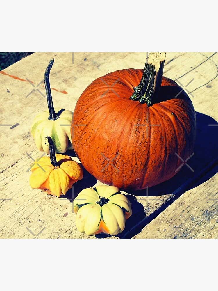 Thumbnail 3 of 3, Poster, Gift for Food Blogger - Pumpkin and Squash Art - Kitchen and Dining Decor designed and sold by OneDayArt.